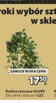 Roślina sztuczna OLIVER promocja w Jysk