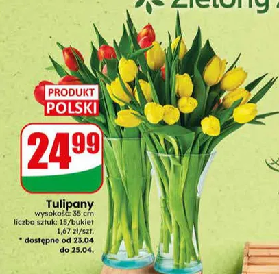 Tulipany promocja w Dino