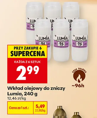 Wkład olejowy do zniczy Lumia promocja w Biedronka