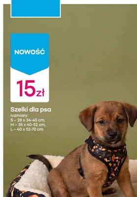 Szelki dla psa promocja w Pepco