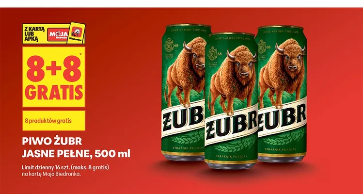 Piwo Żubr Jasne Pełne promocja w Biedronka