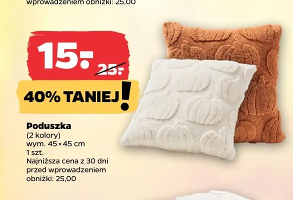 Poduszka 45x45 cm promocja w Netto