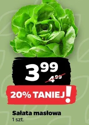 Sałata masłowa promocja w Netto