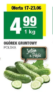 Ogórek gruntowy polska promocja w SPAR