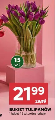Bukiet tulipanów promocja w Stokrotka