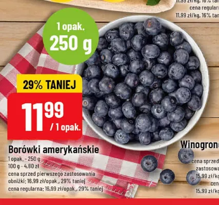 Borówki amerykańskie promocja w POLOmarket