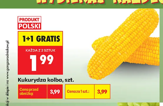 Kukurydza kolba promocja w Biedronka