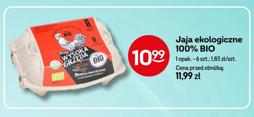 Jajka kurze ekologiczne 100% BIO Ferma Wysoka Grzęda promocja w Żabka