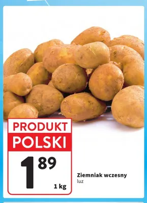 Ziemniak wczesny luz promocja w Intermarche