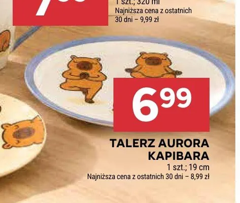 Talerz Aurora Kapibara promocja w Stokrotka