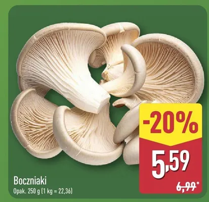 Boczniaki promocja w Aldi