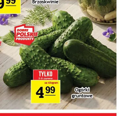 Ogórki gruntowe promocja w Gram Market