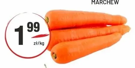 Marchew promocja w Sedal