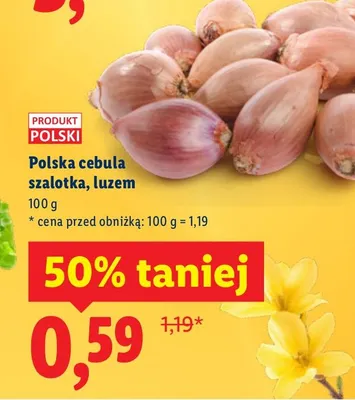 Polska cebula szalotka, luzem promocja w Lidl