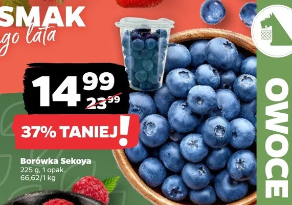 Borówka promocja w Netto