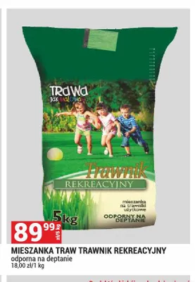 Mieszanka traw Trawnik Rekreacyjny Trawa jak malowana promocja w Merkury Market