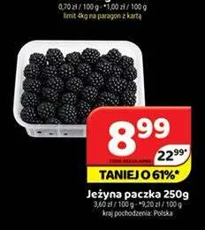 Jeżyna paczka promocja w Delfin