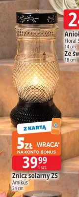 Znicz solarny Zs Amikus 24 cm promocja w Leclerc