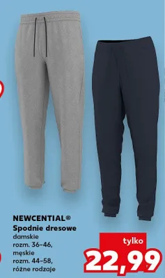 Spodnie dresowe damskie promocja w Kaufland