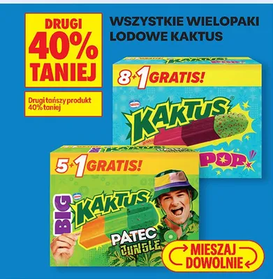 Lody Kaktus różne rodzaje DRUGIE -40% promocja w Biedronka