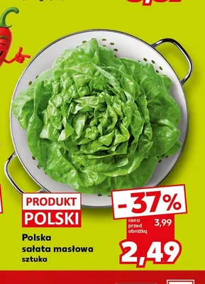 Sałata masłowa polska promocja w Kaufland