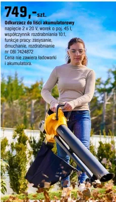 Odkurzacz do liści akumulatorowy promocja w OBI