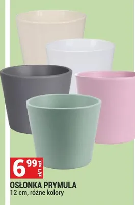 Osłonka PRYMULA 12 cm, różne kolory promocja w Merkury Market