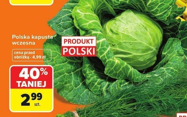 Kapusta wczesna polska promocja w Carrefour