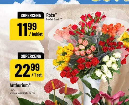 Róże promocja w POLOmarket
