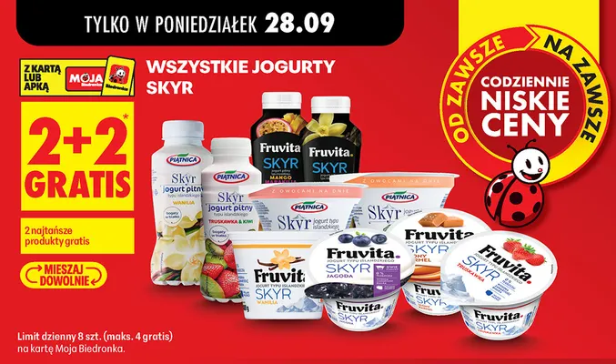Jogurt Skyr jagoda Fruvita promocja w Biedronka