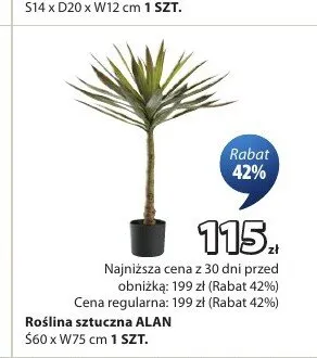 Roślina sztuczna ALAN S60 x W75cm promocja w Jysk