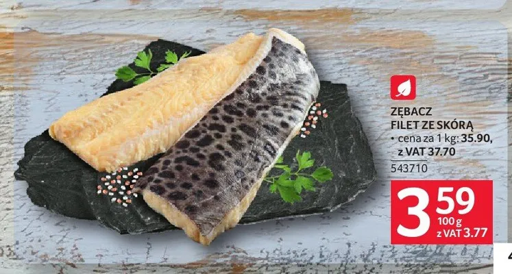 Zębacz filet ze skórą promocja w Selgros