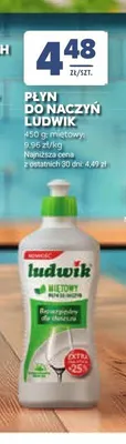 Płyn do naczyń Ludwik miętowy promocja w Stokrotka