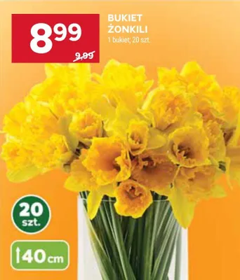 Bukiet żonkili 20szt promocja w Stokrotka