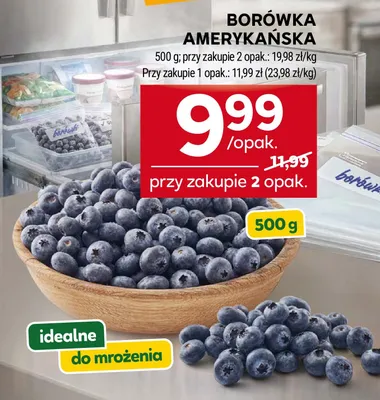 Borówka amerykańska promocja w Stokrotka