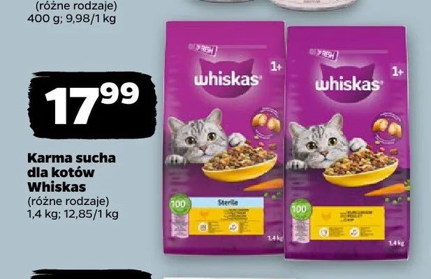 Karma sucha dla kotów Whiskas promocja w Netto