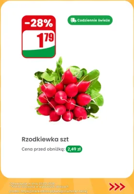 Rzodkiewka  promocja w Dino