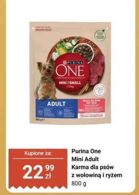 Karma dla psów sucha Purina One Mini Adult z wołowiną i ryżem promocja w Biedronka