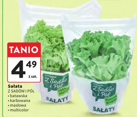 Sałata karbowana promocja w Intermarche