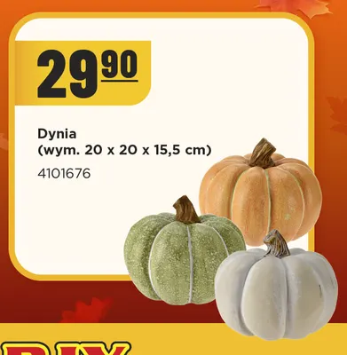 Dynia 20x20x15,5 cm promocja w MR. DIY