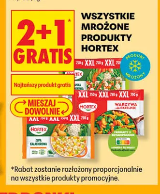 Zupa kalafiorowa Hortex XXL promocja w Biedronka