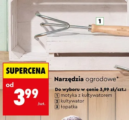 Kultywator promocja w Biedronka