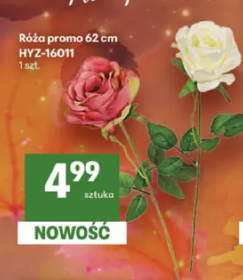 Róża promo 62 cm promocja w Delikatesy Centrum