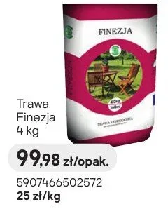 Trawa Finezja promocja w Castorama