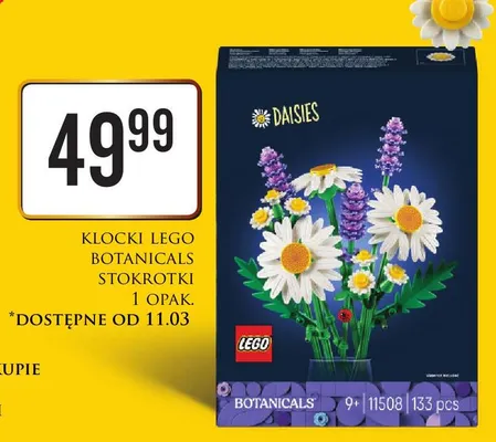 Klocki Botanicals Stokrotki promocja w Dino