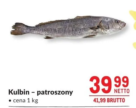 Kulbin patroszony promocja w Makro