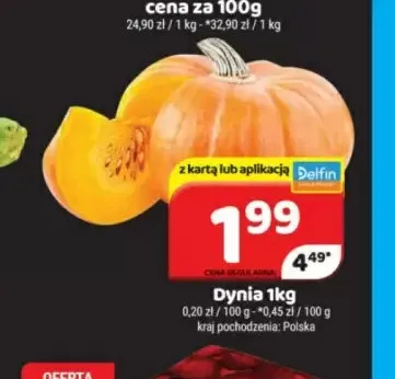 Dynia promocja w Delfin