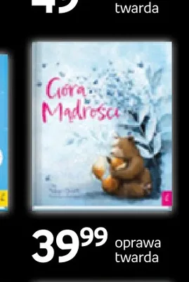 Książka Góra Mądrości Wilga promocja w Empik