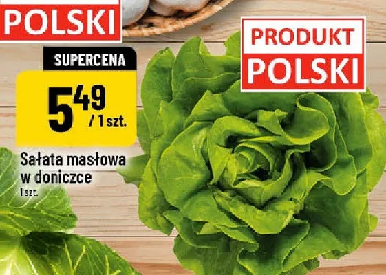Sałata masłowa w doniczce promocja w POLOmarket