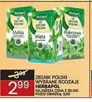 Zielnik Polski Herbapol promocja w Wafelek